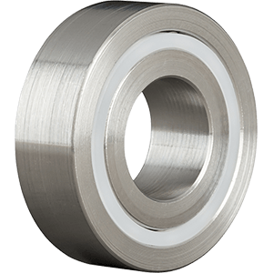 Stainless Double Row Ball Bearings